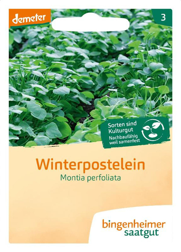Produktfoto zu Winterpostelein SAATGUT