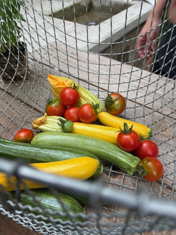 KI generiert: Frische Tomaten und Zucchini liegen in einem Drahtkorb auf einem Holztisch.