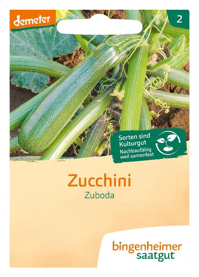 Produktfoto zu Zucchini Zuboda SAATGUT