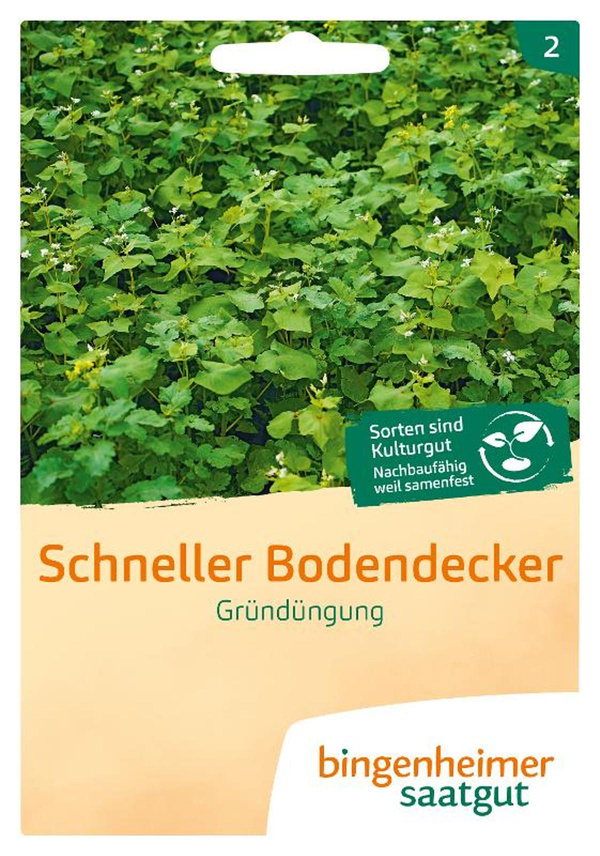 Produktfoto zu Schneller Bodendecker SAATGUT