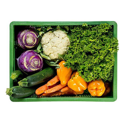 Produktfoto zu Rohkost normal