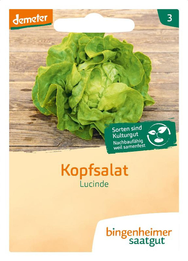 Produktfoto zu Kopfsalat Lucinde SAATGUT