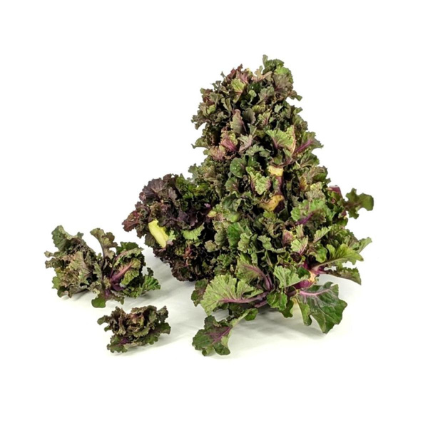 Produktfoto zu APFELBACHERs Flowersprouts am Strunk