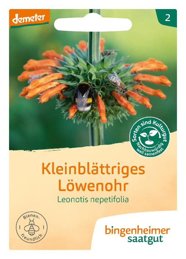 Produktfoto zu SG Kleinblättriges Löwenohr
