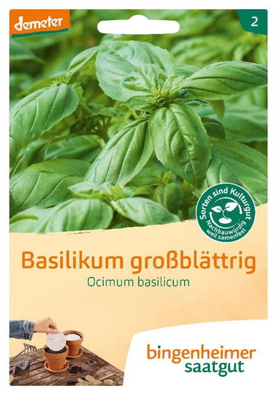 Produktfoto zu Basilikum großblättrig SAATSCHEIBE