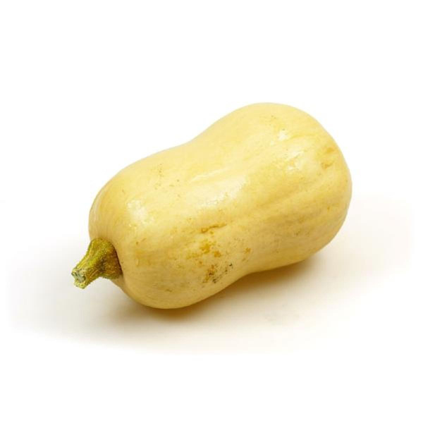 Produktfoto zu APFELBACHERs Kürbis Butternut 1200gr+