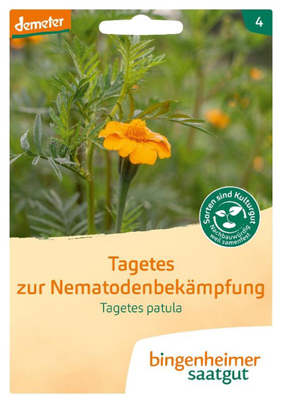 Produktfoto zu Tagetes gegen Nematoden SAATGUT