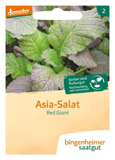 Produktfoto zu Asia Salat Red Giant SAATGUT