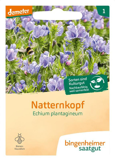 Produktfoto zu Natternkopf SAATGUT