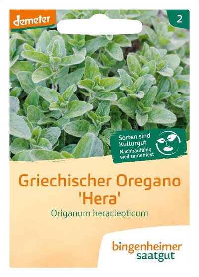 Produktfoto zu Oregano, griechischer SAATGUT