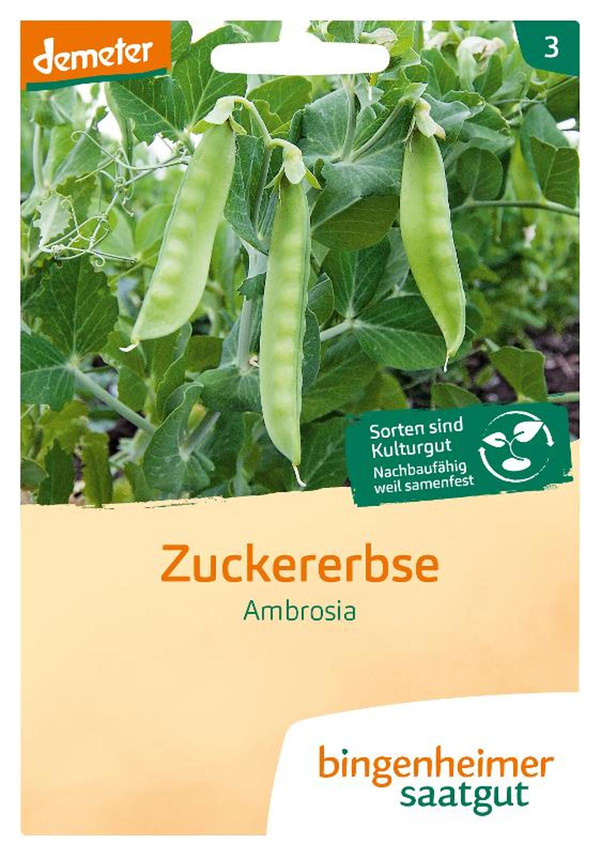 Produktfoto zu Zuckererbse Ambrosia,  SAATGUT