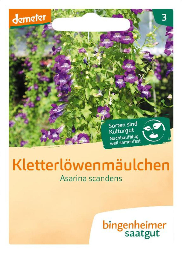 Produktfoto zu Kletterlöwenmäulchen SAATGUT