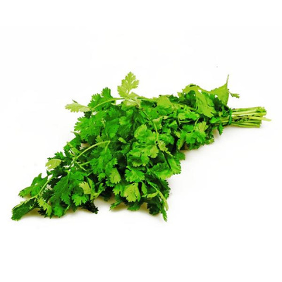 Produktfoto zu Koriander aus dem Vorgebirge