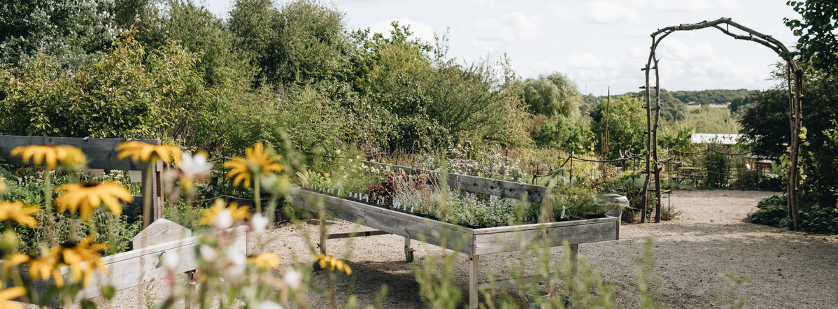 KI generiert: Ein gepflegter Garten mit Hochbeeten, Pflanzen und einem Durchgangsbogen vor grüner Landschaft.