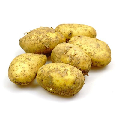 Produktfoto zu APFELBACHERs Pflanzkartoffel "Antonia", 1kg Btl.