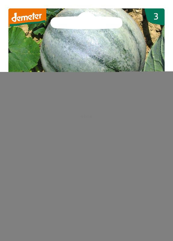 Produktfoto zu Zucker-Melone Gris de Rennes SAATGUT Gris de Rennes